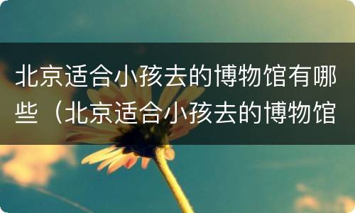 北京适合小孩去的博物馆有哪些（北京适合小孩去的博物馆有哪些呢）