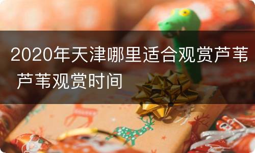 2020年天津哪里适合观赏芦苇 芦苇观赏时间