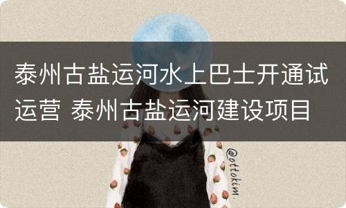 泰州古盐运河水上巴士开通试运营 泰州古盐运河建设项目