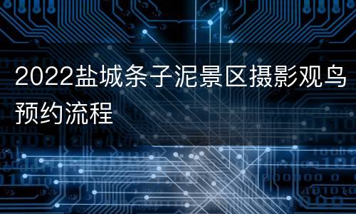 2022盐城条子泥景区摄影观鸟预约流程