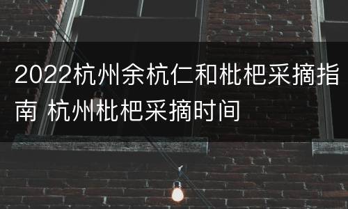2022杭州余杭仁和枇杷采摘指南 杭州枇杷采摘时间
