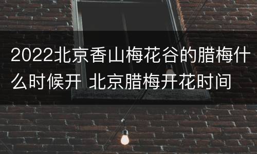 2022北京香山梅花谷的腊梅什么时候开 北京腊梅开花时间
