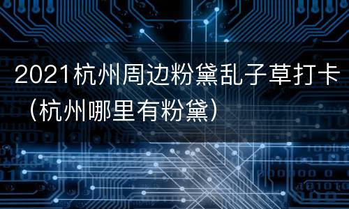 2021杭州周边粉黛乱子草打卡（杭州哪里有粉黛）