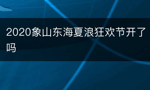 2020象山东海夏浪狂欢节开了吗