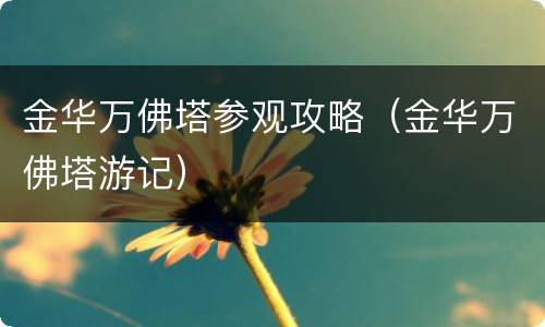 金华万佛塔参观攻略（金华万佛塔游记）