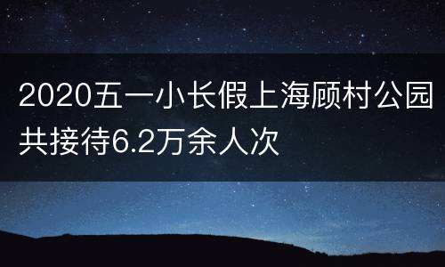 2020五一小长假上海顾村公园共接待6.2万余人次
