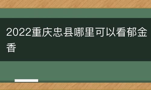 2022重庆忠县哪里可以看郁金香
