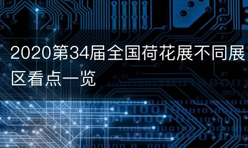 2020第34届全国荷花展不同展区看点一览