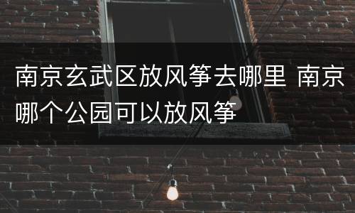 南京玄武区放风筝去哪里 南京哪个公园可以放风筝