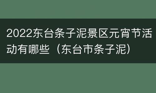 2022东台条子泥景区元宵节活动有哪些（东台市条子泥）