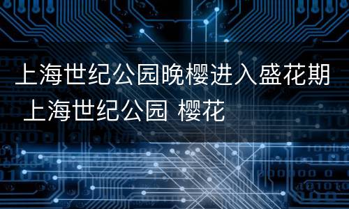 上海世纪公园晚樱进入盛花期 上海世纪公园 樱花
