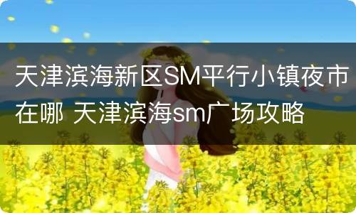 天津滨海新区SM平行小镇夜市在哪 天津滨海sm广场攻略