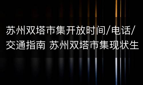 苏州双塔市集开放时间/电话/交通指南 苏州双塔市集现状生意如何