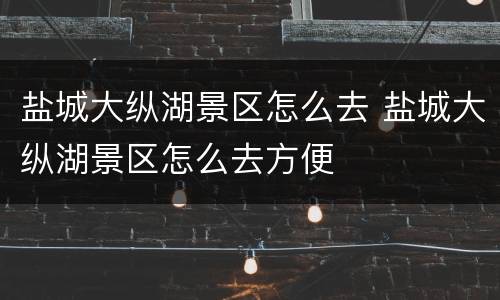 盐城大纵湖景区怎么去 盐城大纵湖景区怎么去方便