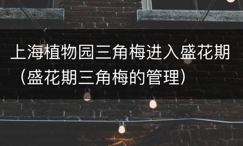 上海植物园三角梅进入盛花期（盛花期三角梅的管理）