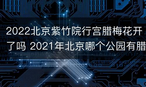 2022北京紫竹院行宫腊梅花开了吗 2021年北京哪个公园有腊梅花开