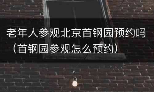 老年人参观北京首钢园预约吗（首钢园参观怎么预约）