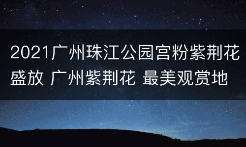 2021广州珠江公园宫粉紫荆花盛放 广州紫荆花 最美观赏地
