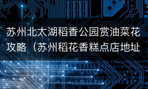 苏州北太湖稻香公园赏油菜花攻略（苏州稻花香糕点店地址）