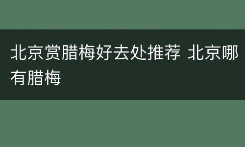 北京赏腊梅好去处推荐 北京哪有腊梅