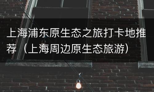 上海浦东原生态之旅打卡地推荐（上海周边原生态旅游）
