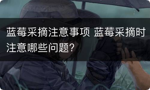蓝莓采摘注意事项 蓝莓采摘时注意哪些问题?