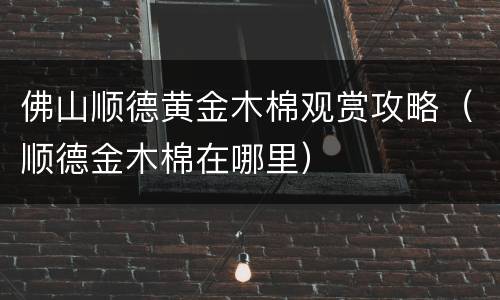 佛山顺德黄金木棉观赏攻略（顺德金木棉在哪里）
