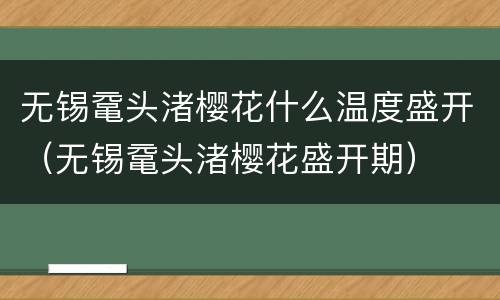 无锡鼋头渚樱花什么温度盛开（无锡鼋头渚樱花盛开期）
