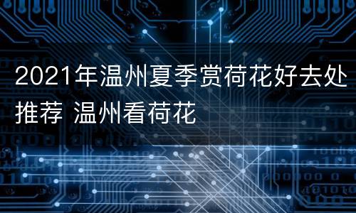 2021年温州夏季赏荷花好去处推荐 温州看荷花