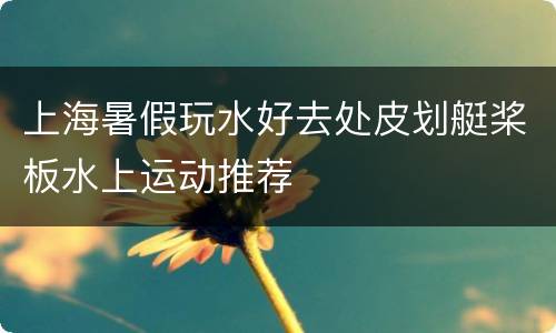 上海暑假玩水好去处皮划艇桨板水上运动推荐