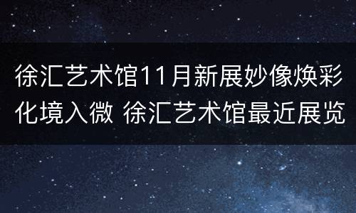 徐汇艺术馆11月新展妙像焕彩化境入微 徐汇艺术馆最近展览