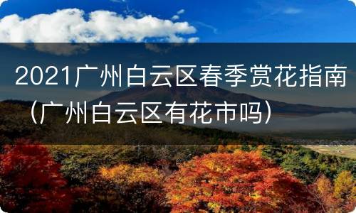 2021广州白云区春季赏花指南（广州白云区有花市吗）