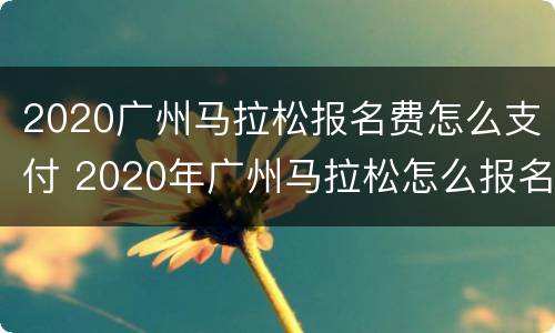 2020广州马拉松报名费怎么支付 2020年广州马拉松怎么报名