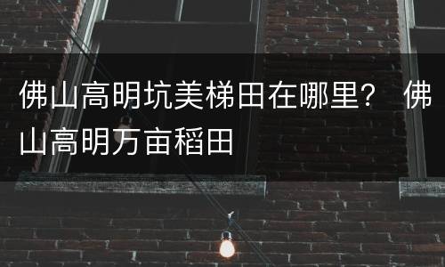 佛山高明坑美梯田在哪里？ 佛山高明万亩稻田