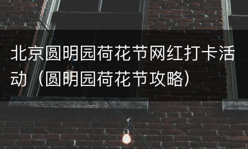 北京圆明园荷花节网红打卡活动（圆明园荷花节攻略）
