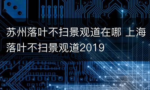 苏州落叶不扫景观道在哪 上海落叶不扫景观道2019
