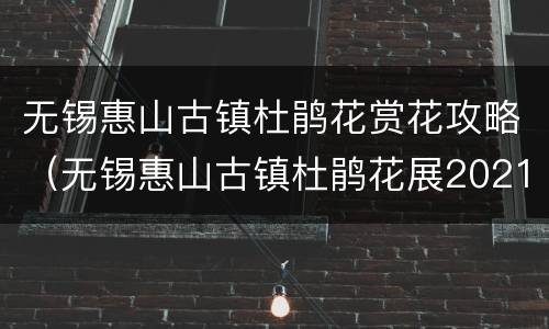 无锡惠山古镇杜鹃花赏花攻略（无锡惠山古镇杜鹃花展2021年）