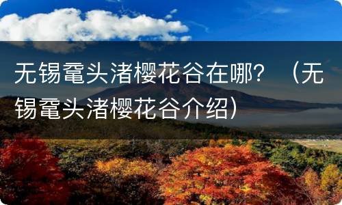 无锡鼋头渚樱花谷在哪？（无锡鼋头渚樱花谷介绍）