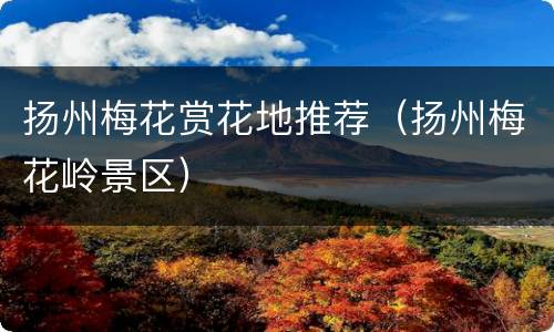 扬州梅花赏花地推荐（扬州梅花岭景区）