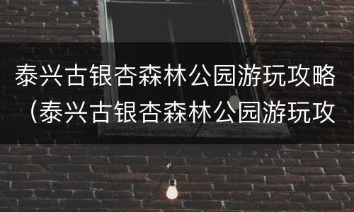 泰兴古银杏森林公园游玩攻略（泰兴古银杏森林公园游玩攻略路线）