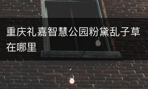 重庆礼嘉智慧公园粉黛乱子草在哪里