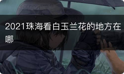 2021珠海看白玉兰花的地方在哪