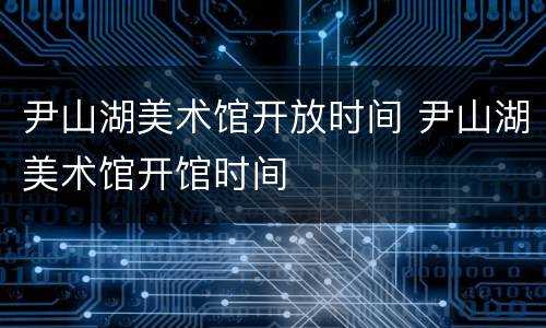尹山湖美术馆开放时间 尹山湖美术馆开馆时间