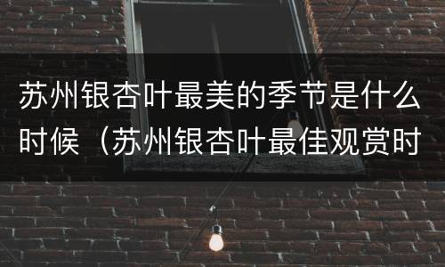 苏州银杏叶最美的季节是什么时候（苏州银杏叶最佳观赏时间）