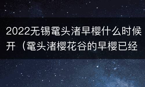 2022无锡鼋头渚早樱什么时候开（鼋头渚樱花谷的早樱已经盛开了）