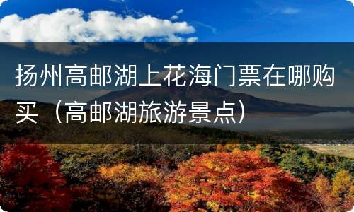 扬州高邮湖上花海门票在哪购买（高邮湖旅游景点）