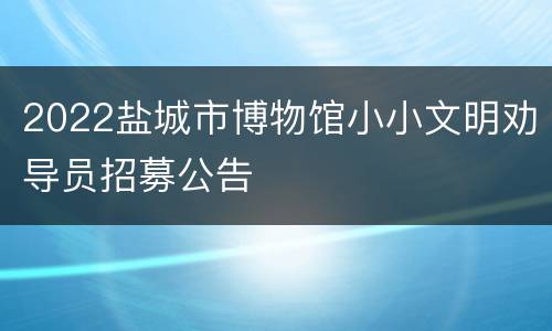 2022盐城市博物馆小小文明劝导员招募公告
