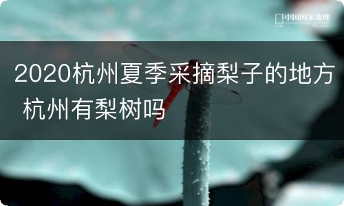 2020杭州夏季采摘梨子的地方 杭州有梨树吗
