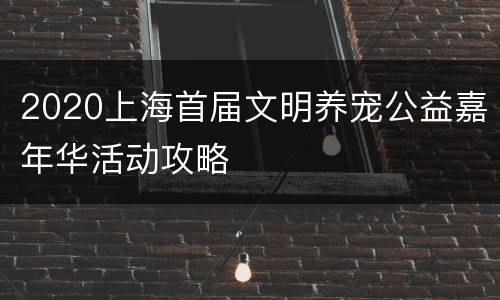 2020上海首届文明养宠公益嘉年华活动攻略