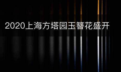 2020上海方塔园玉簪花盛开